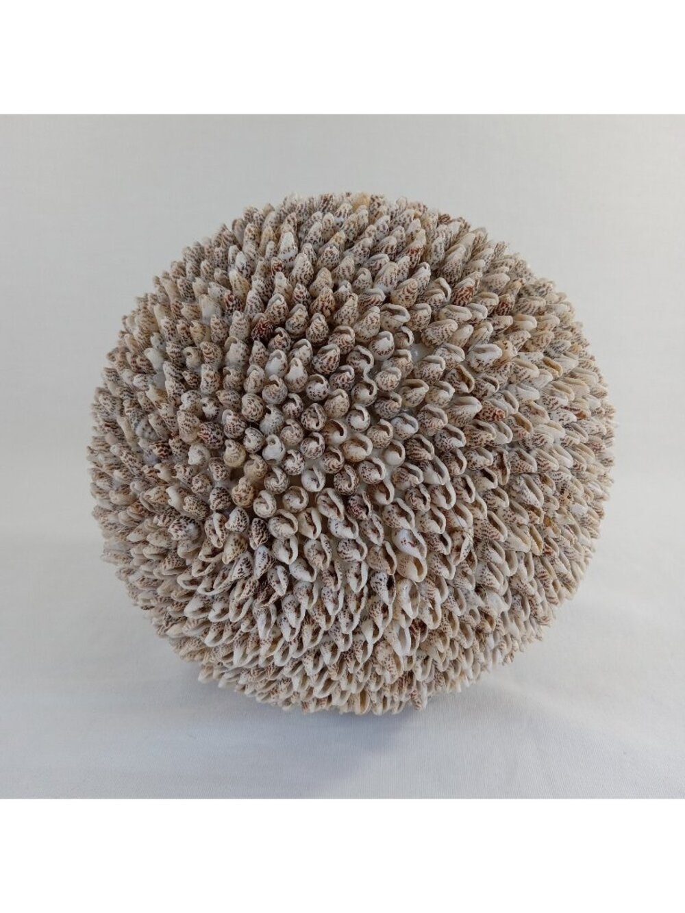 Large Sea Shell Decorative Ball Sphere Coastal Nautical Home Decor 6.5" Round